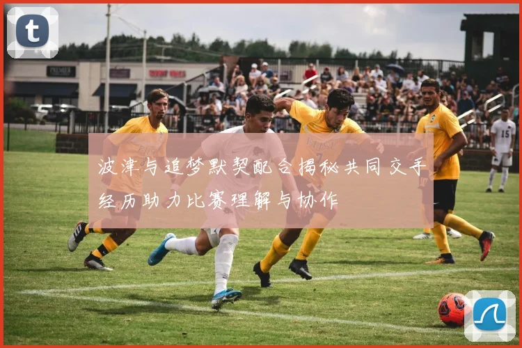波津与追梦默契配合揭秘共同交手经历助力比赛理解与协作