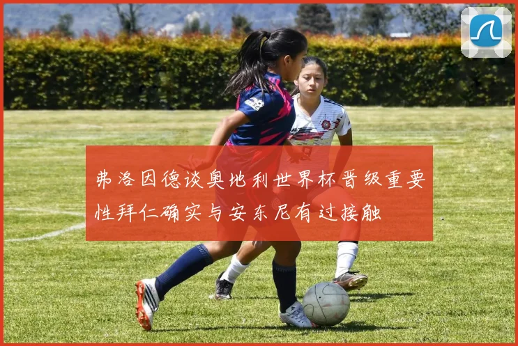 弗洛因德谈奥地利世界杯晋级重要性拜仁确实与安东尼有过接触